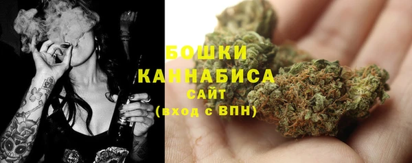 гидропоника Бугульма