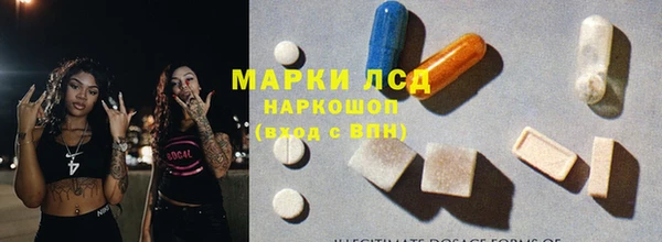 тгк Бородино