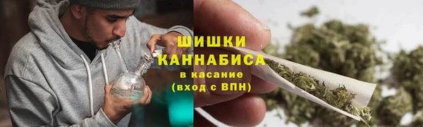 тгк Бородино