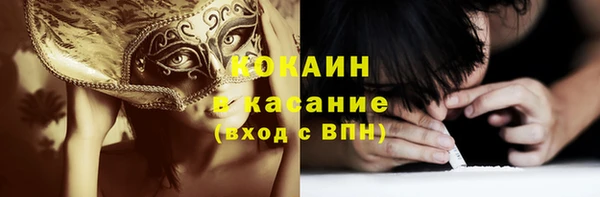 тгк Бородино
