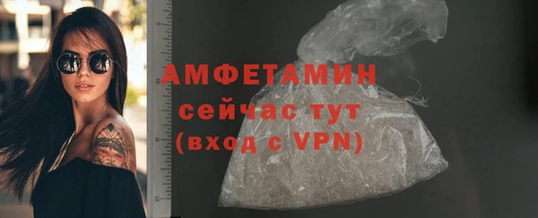 тгк Бородино