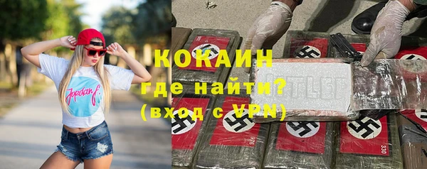 тгк Бородино