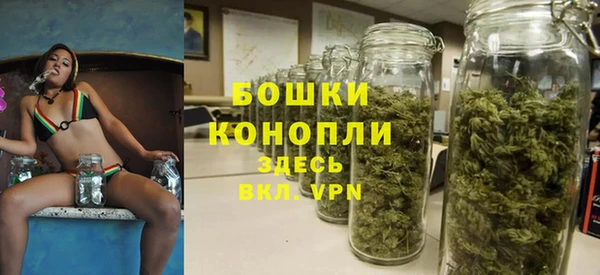круглые Бронницы