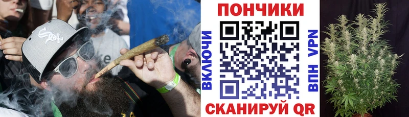 Марихуана конопля  Северодвинск 